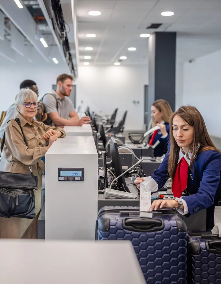 Ticketing baggage identification