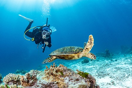 Scuba Diving Travel Insurance
