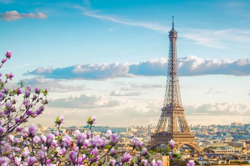 Travel Requirements for France