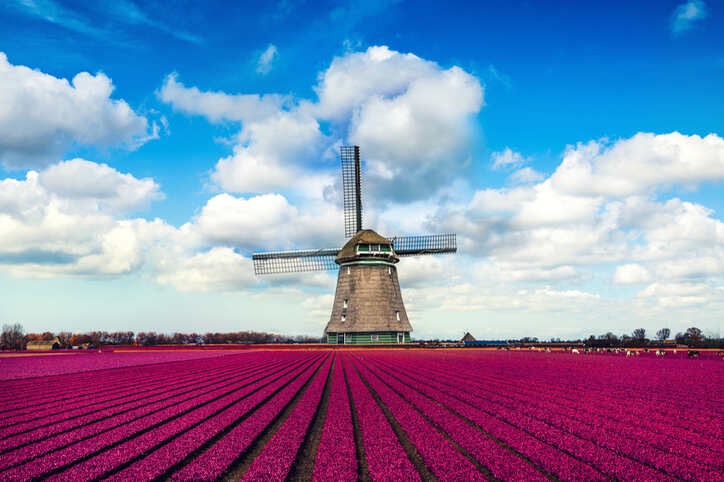 Netherlands Travel Insurance