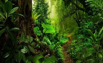 Costa Rica Travel Insurance