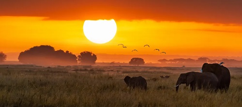 Travel Insurance for Kenya