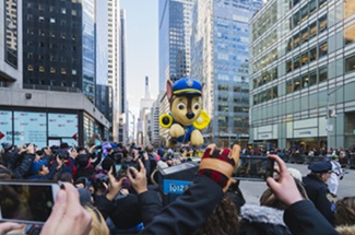 Thanksgiving Vacation Ideas