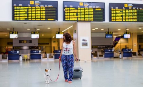 Traveling with Pets