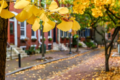 Best Places to Visit in October in the USA
