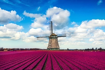 Travel Insurance Netherlands