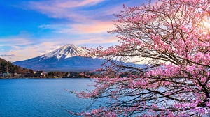 Best time to go to Japan